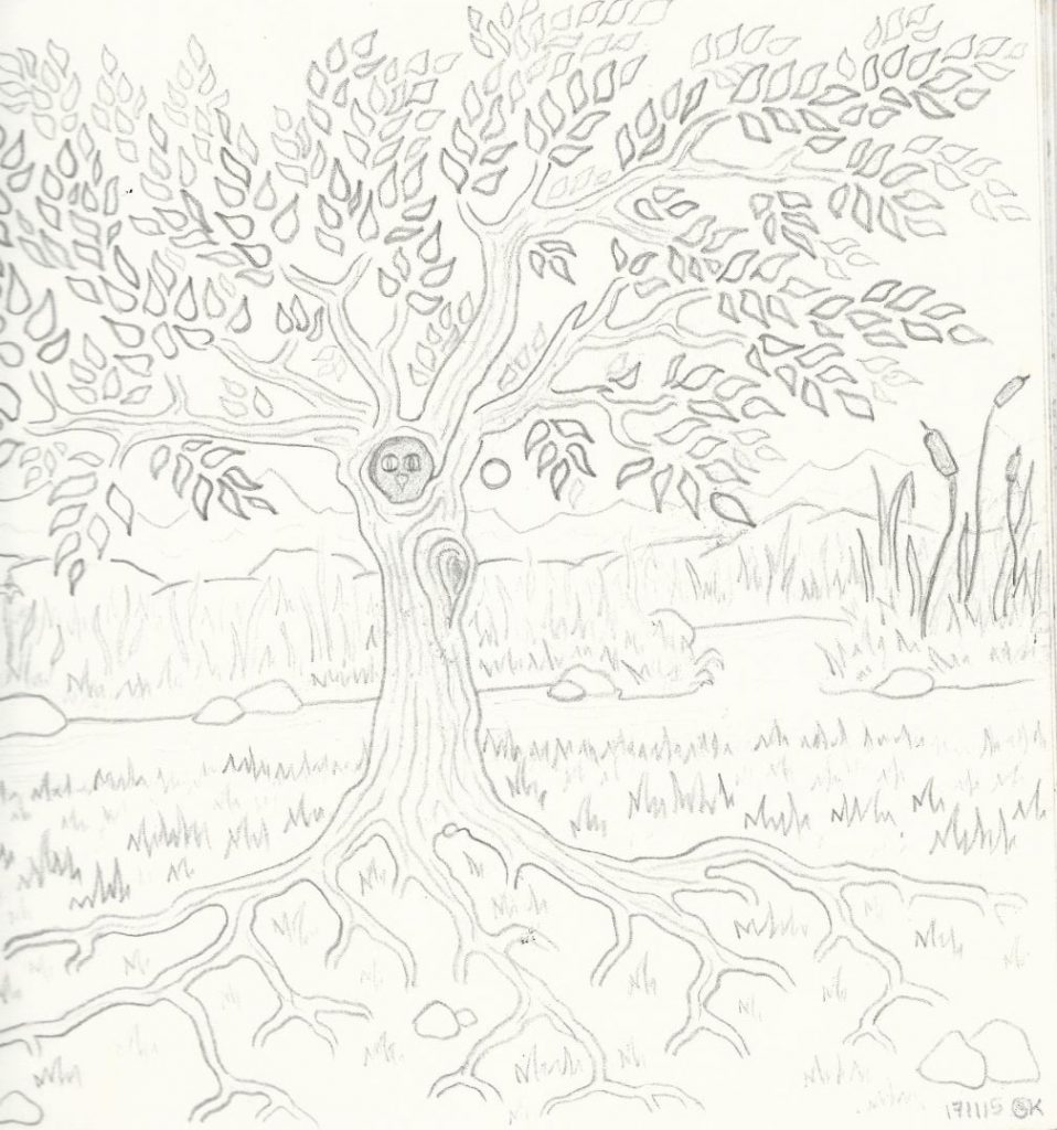 Eulenbaum am großen Teich - Zeichnung (Atelier am See, 11-2015)