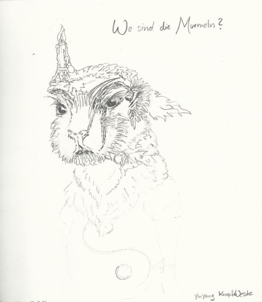 Nachtwächter Murmeltier - Zeichnung (Atelier am See, 02-2016)
